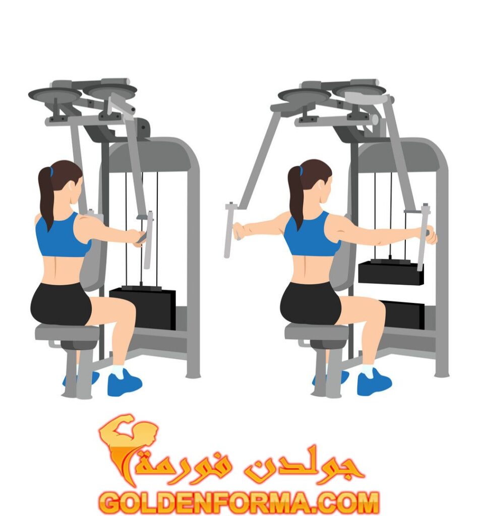 جدول تمارين للنساء تمرين فراشة خلفي – Rear Deltoid Fly