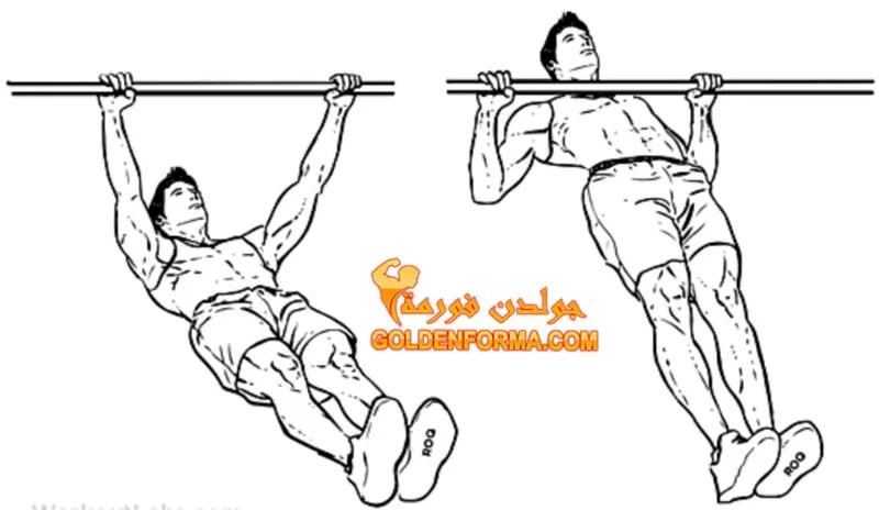 تمرين Australian pull up تمارين العقلة