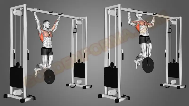  تمرين weighted pull up تمارين العقلة