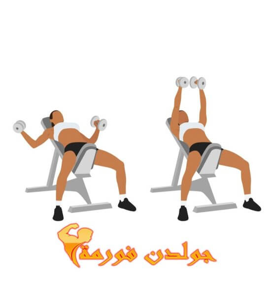 تمرين التفتيح للصدر العالي بالدامبل - Incline DB Chest Flyes تمارين الشيست للبنات