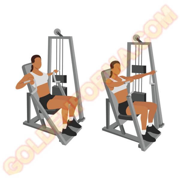 تمرين الدفع على الجهاز للصدر - Hammer Strength Chest Press تمارين الشيست للبنات