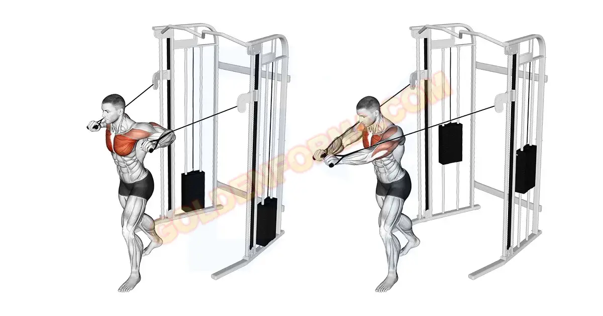 تمرين الصدر بالكابل تمارين الصدر في الجيم