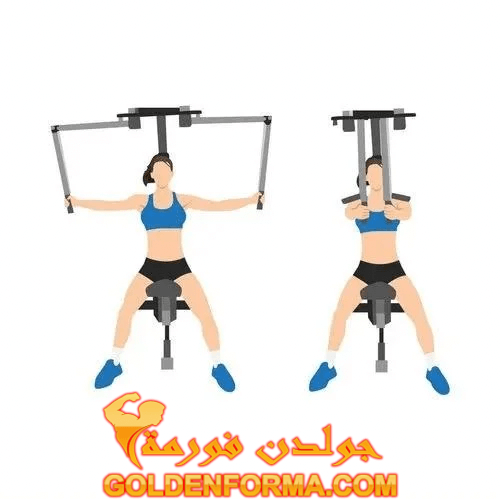 تمرين الفراشة على الجهاز - Chest Fly Machine تمارين الشيست للبنات