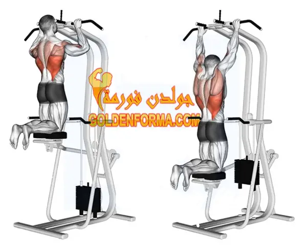 جهاز (Assisted Pull Up) تمارين العقلة