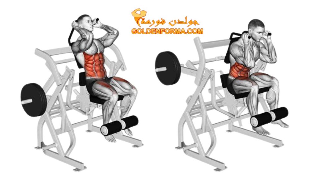 جهاز تمرين عضلات البطن الجالس Seated Abs Crunchاجهزة تمارين البطن