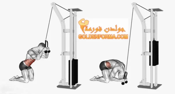 تمرين cable crunches تمارين البطن للمبتدئين