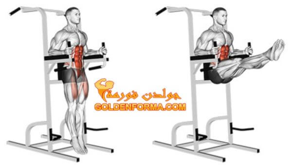 تمرين جهاز رفع الرجل تمارين البطن للمبتدئين
